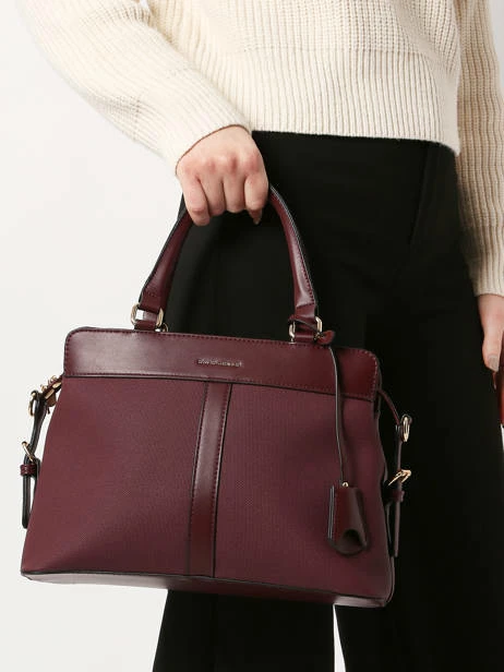 Satchel Vendome DAVID JONES 2 Satchel Vendome DAVID JONES – Image 2