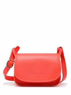Small Leather Le Foulonn� Crossbody Bag LONGCHAMP